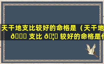 天干地支比较好的命格是（天干地 🐟 支比 🦁 较好的命格是什么意思）